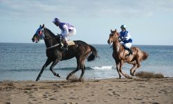 Carrera de caballos en la playa de Guacimeta