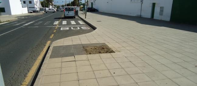 El Ayuntamiento de Arrecife retira las palmeras de la calle Mosta