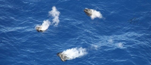 Fragmentos de lava humeantes aparecen en la superficie del agua junto a la costa de El Hierro