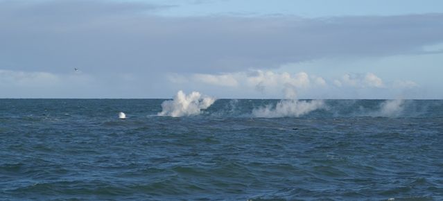 Los expertos advierten de posibles seísmos de hasta 4,6 grados y no descartan una nueva erupción en el norte de El Hierro