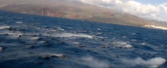 Un nuevo vídeo muestra decenas de rocas de lava humeantes en el mar de El Hierro