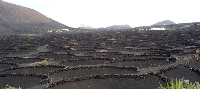 Condenados un promotor y dos constructores por una construcción ilegal en el Paisaje Natural y Protegido de La Geria