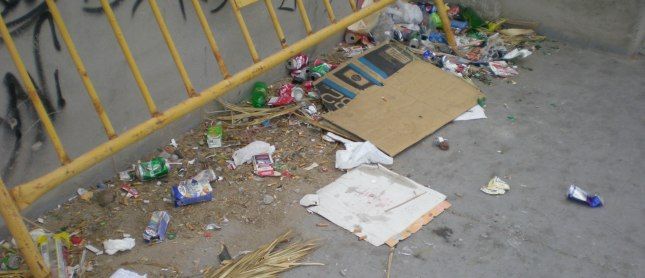 El desastroso estado de la pista de skate del Parque Temático