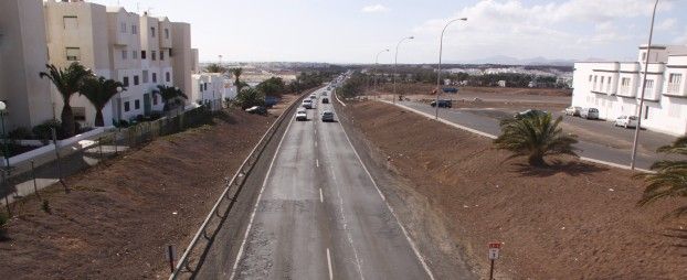 Arrecife reclama nuevamente al Cabildo que "vele por el buen estado de las palmeras trasplantadas" de la Circunvalación