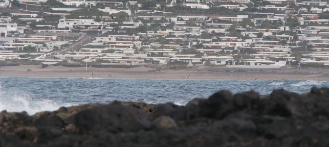 Vecinos de Famara denuncian el envenenamiento de varios perros en la zona