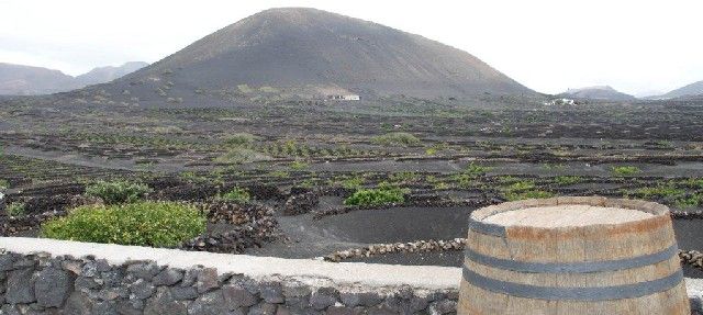 El TSJC anula el Plan Especial Paisaje Protegido de La Geria