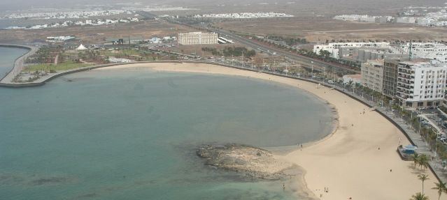 Localizan en El Reducto una pradera de una planta acuática que se consideró extinta en el año 2000