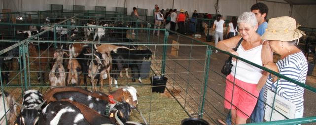 Cientos de personas disfrutaron de la Muestra de Ganado en Uga, donde se exhibieron cerca de 400 animales