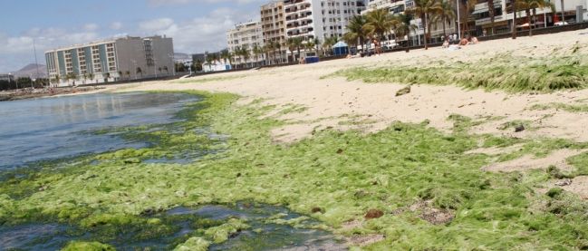 Las extrañas apariciones en el mar