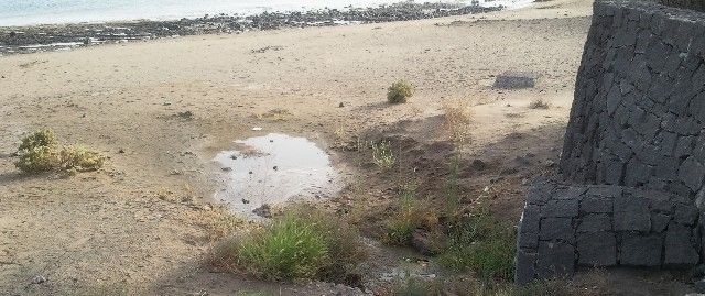 Una turista denunció un vertido de aguas fecales en la playa en Puerto del Carmen: Fue muy desagradable. A Lanzarote no vuelvo