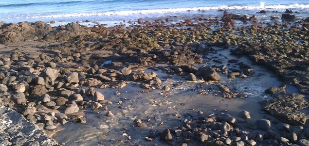 Advierte del riesgo para la salud que suponen los vertidos de aguas residuales en Puerto del Carmen