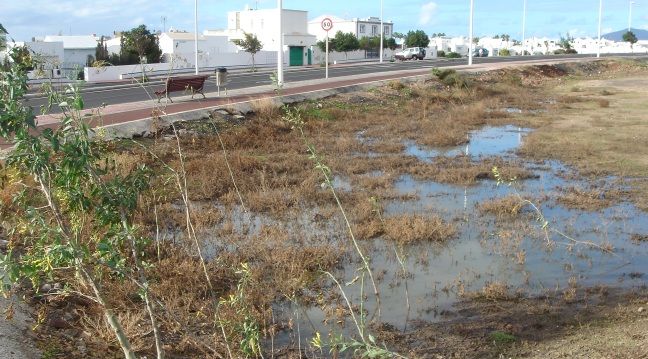 CC denuncia nuevos vertidos de aguas fecales en Tías y plantea acudir a los Juzgados "por dejación de funciones"