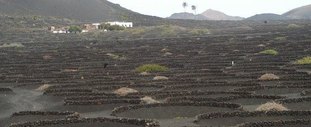 La Geria representará a España como candidatura única al Premio Europeo del Paisaje 2013