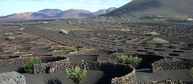 La Cotmac vuelve a aprobar definitivamente aunque "de forma parcial" el Plan Especial del Paisaje Protegido de La Geria