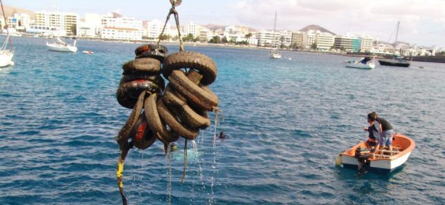 Voluntarios de Pastinaca y del Club de Apnea sacan nueve toneladas de basura del mar en la costa de Arrecife