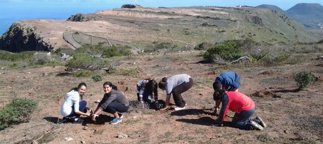 Unos 60 alumnos plantan tajinastes, veroles, tabaibas y anís de Jandía en El Bosquecillo con motivo del Día Mundial del Árbol