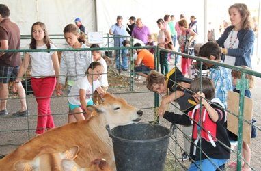 Cientos de personas asisten a la exhibición de 400 animales en Uga