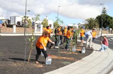 Voluntarios plantan 21 árboles en una rotonda de Tahíche