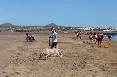 Tías publica en el boletín las nuevas ordenanzas para habilitar una playa para mascotas