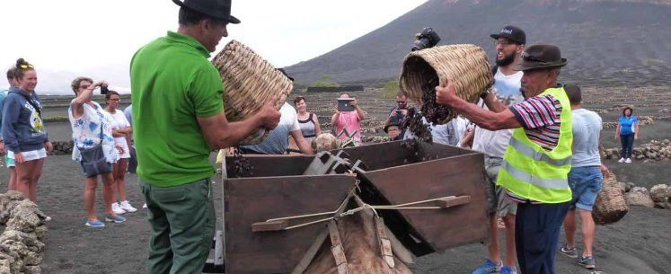 La Geria celebró un año más la tradicional fiesta de la vendimia