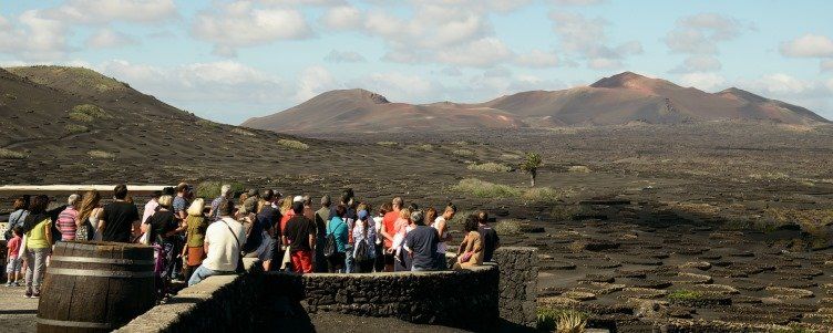 La semana del vino de Lanzarote reunió a más de 500 personas en sus diferentes actividades