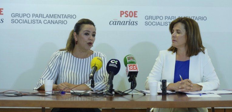 El PSOE plantea reprobar a Valido por el "maltrato institucional de CC" a las personas en situación de dependencia