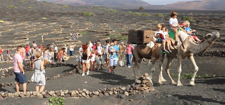 La vendimia tradicional protagoniza las fiestas de La Geria