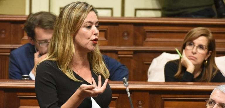 El PSOE presenta más de 200 enmiendas para mover 377,38 millones por una Canarias "más justa y social"