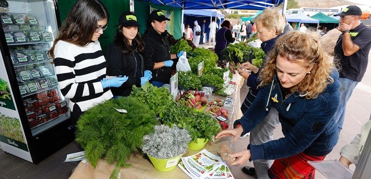 Teguise autoriza la reapertura de sus mercados agrícolas