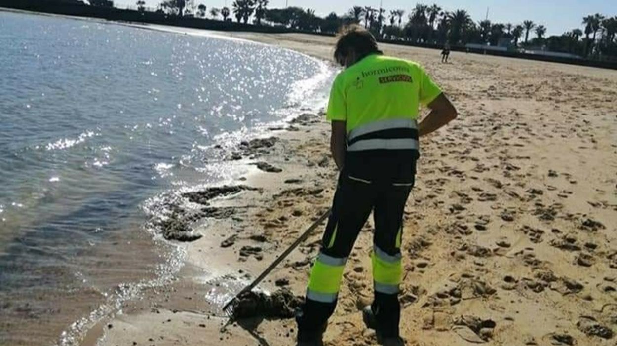 Limpieza de toallitas y compresas en la playa de El Reducto