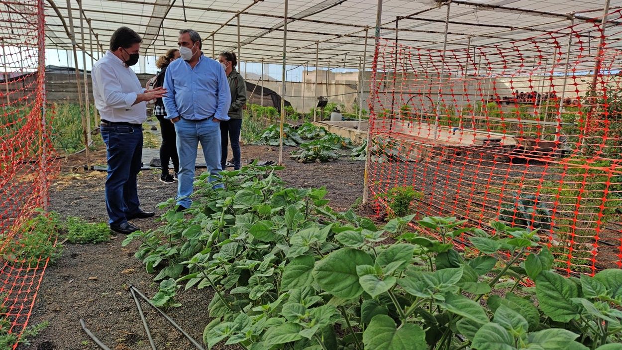 Visita de Ángel Vázquez al invernadero Complejo Agroindustrial