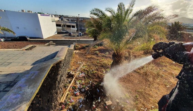 Incendio en un solar de Arrecife