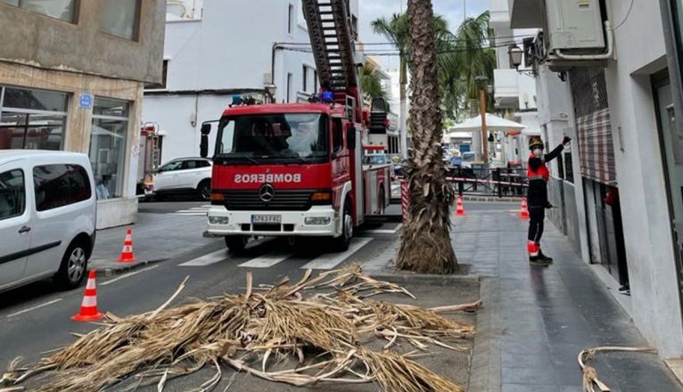 Intervención de los bomberos en la calle Triana por unas hojas que caían de una palmera