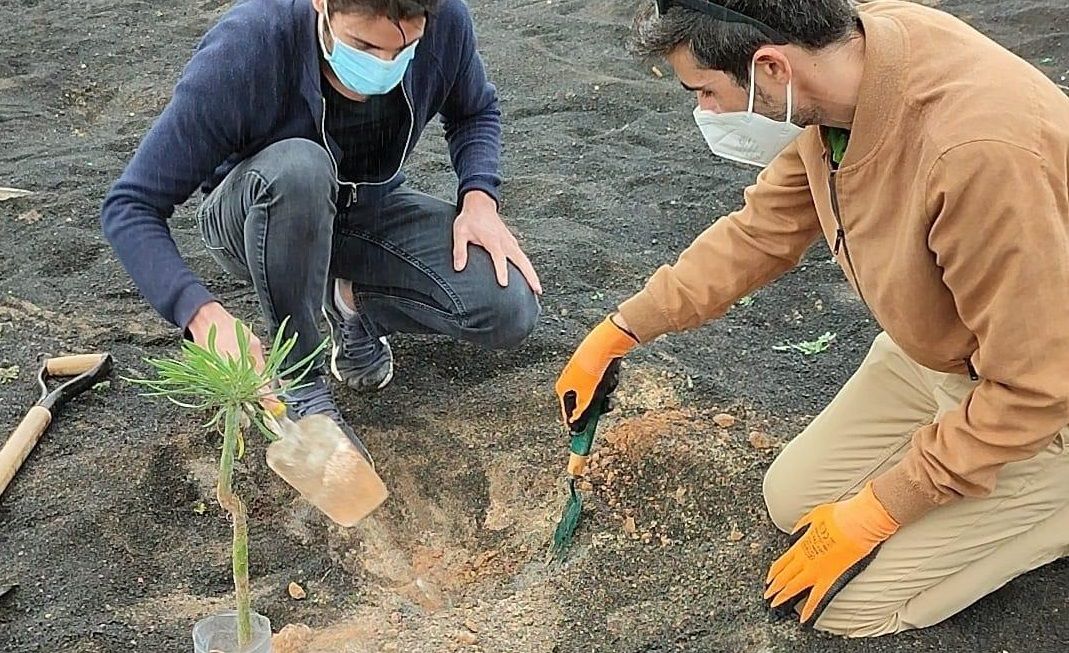 Replantación del jardín de Maneje