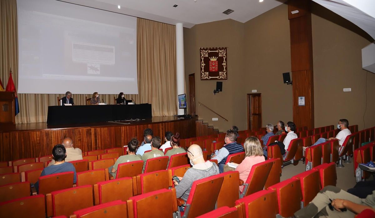 El Cabildo forma a 60 personas en la lucha contra la Diocalandra frumenti que afecta a las palmeras de Lanzarote