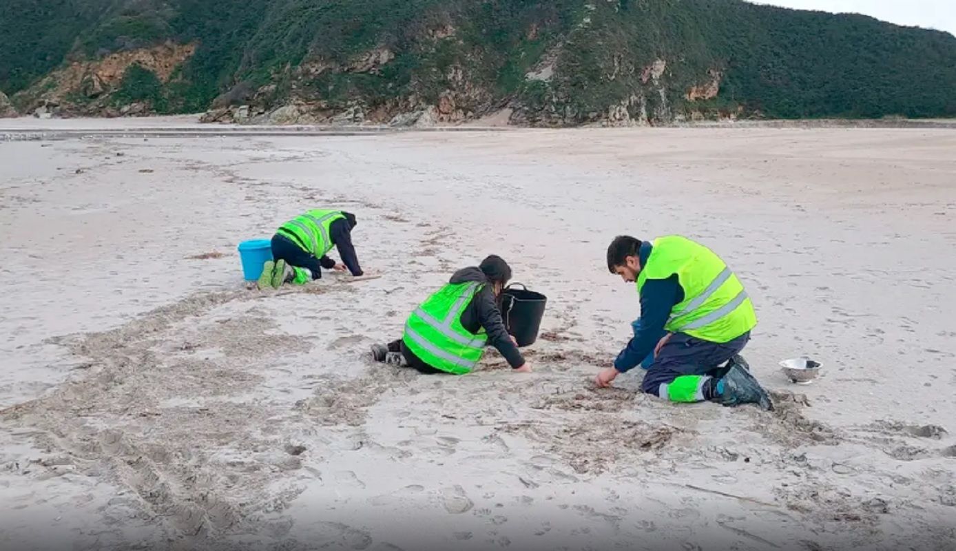 Voluntarios recogiendo Pellets en Galicia. Foto: Onda Cero.