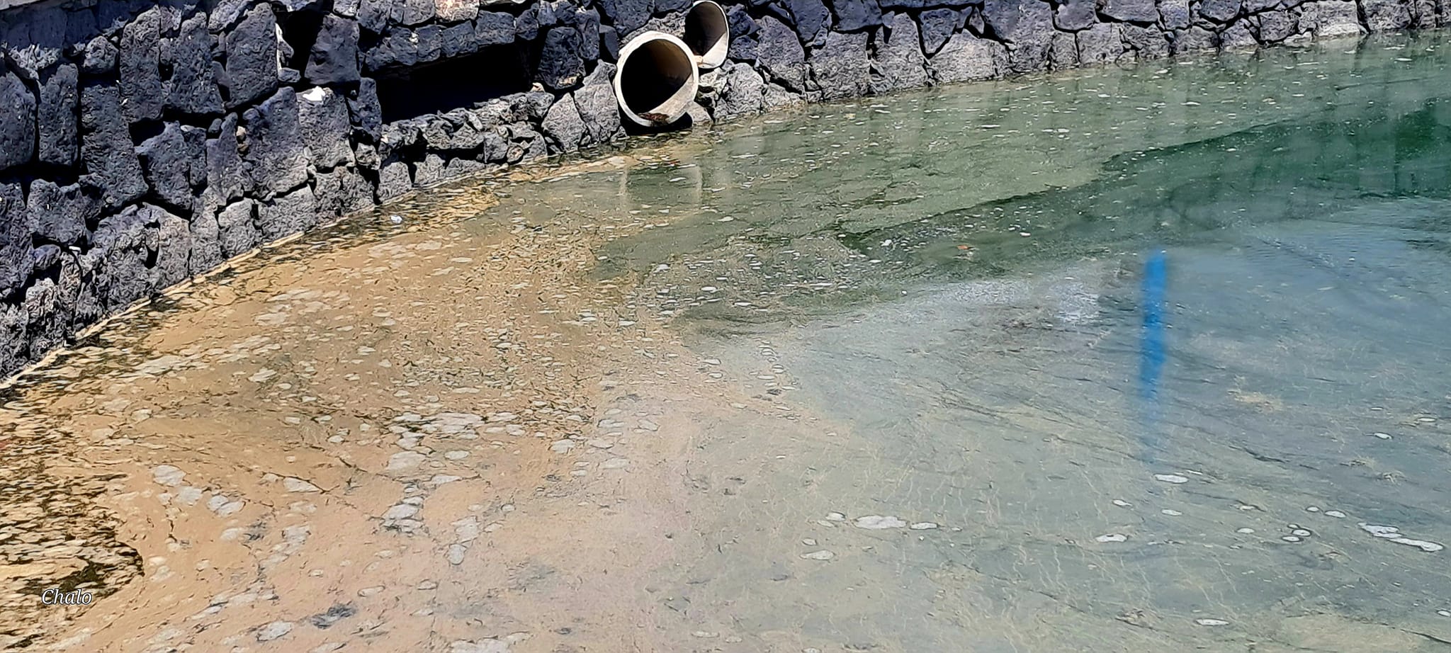 Imágenes de las manchas aparecidas esta semana en el Charco de San Ginés. Foto: Marcial Álvarez Hernández.