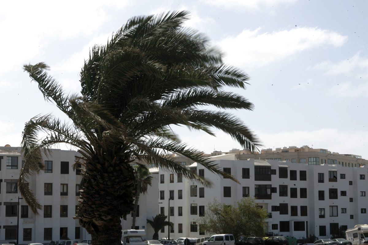 Viento en Lanzarote (Foto: Juan Mateos)