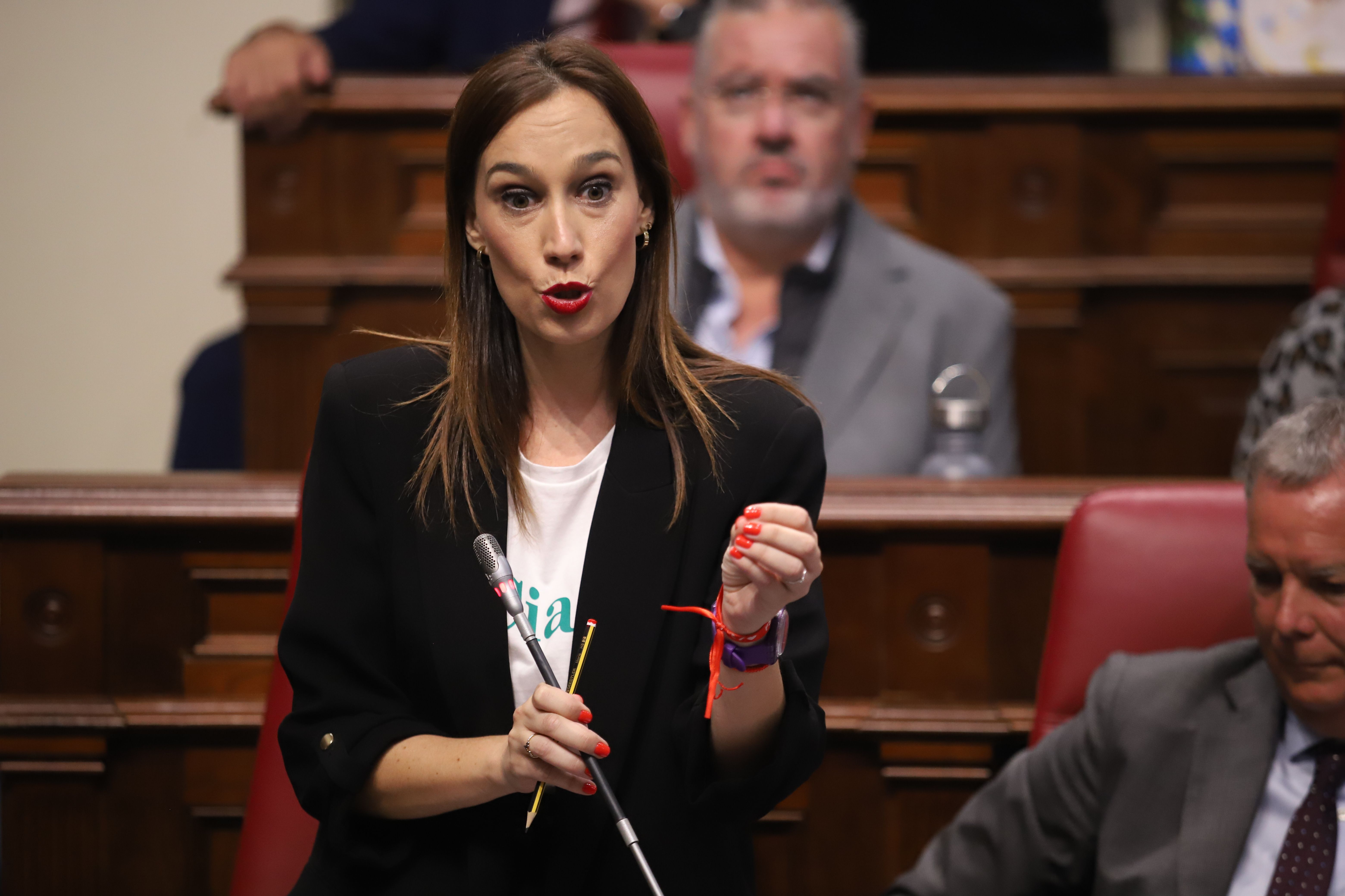 La presidenta del Grupo Socialista en el Parlamento de Canarias, Nira Fierro. Foto: PSOE Canarias.