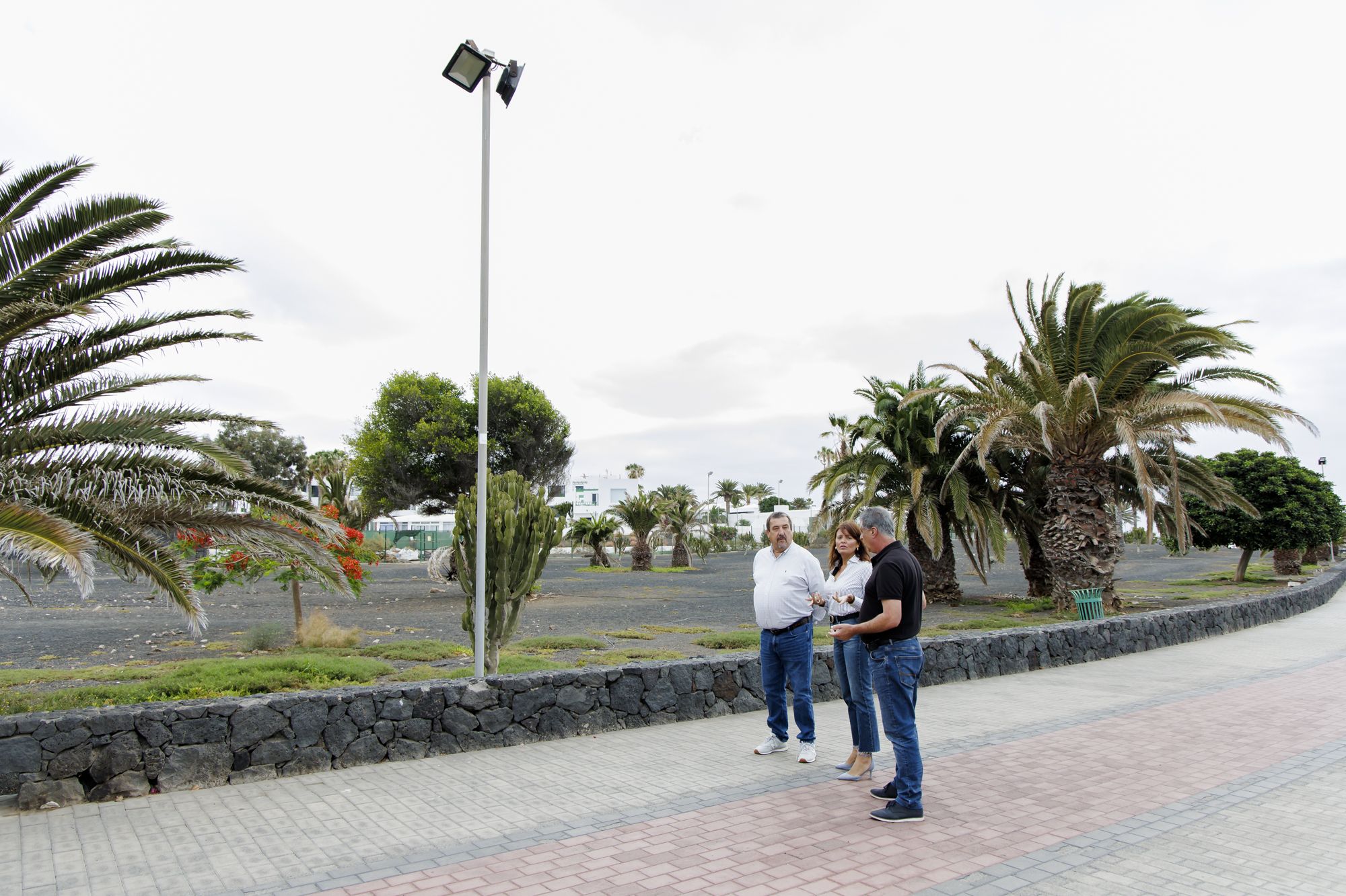 Iluminación de la avenida los Cocederos