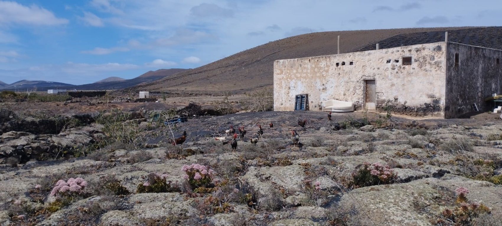 La finca Morro de Chivusque, situada en La Vegueta