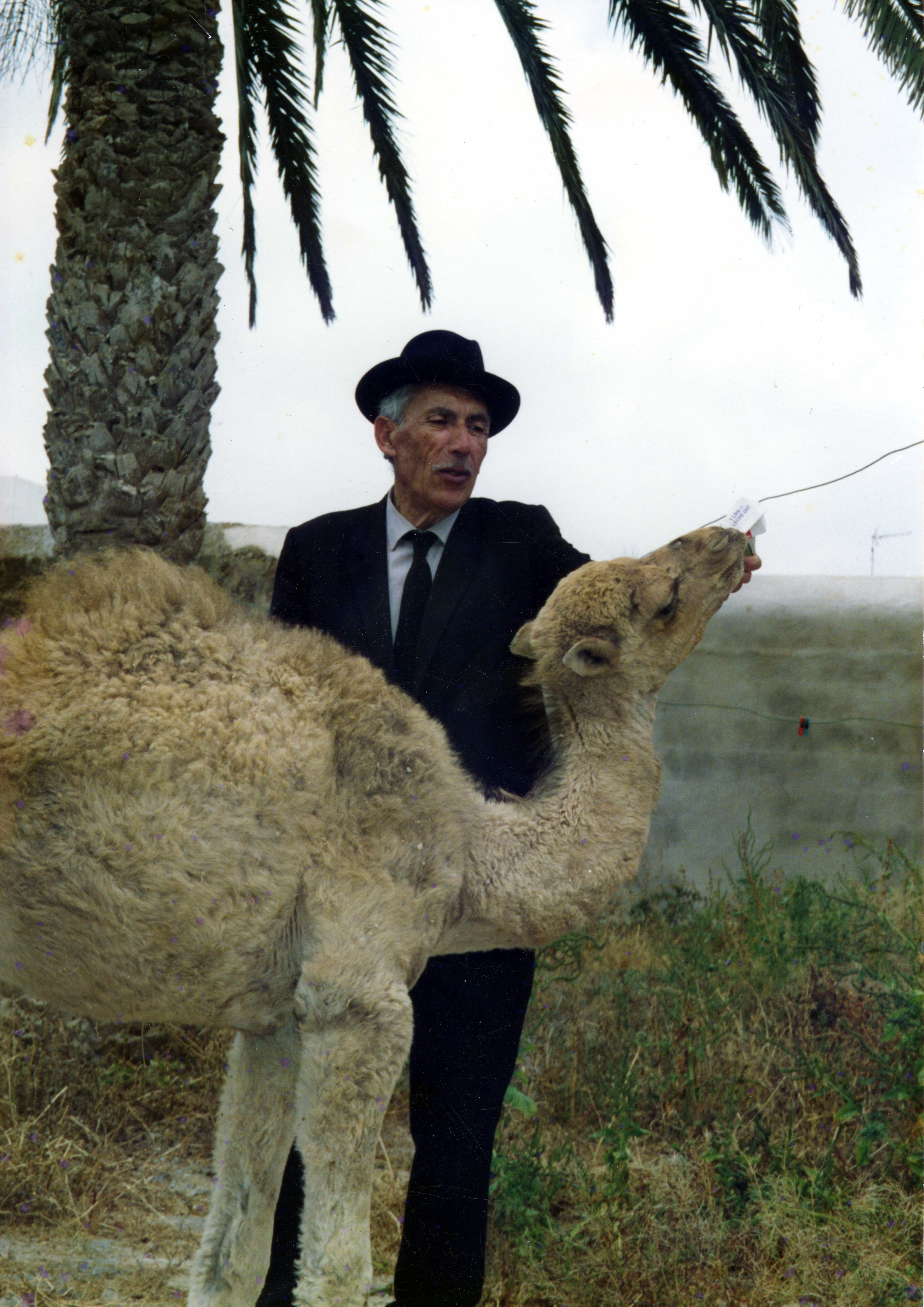 Leandro Perdomo con su camella Bentejuina, 1992
