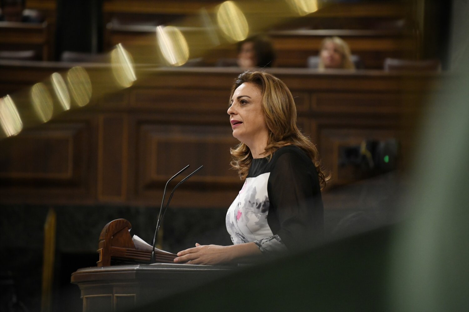 Cristina Valido CC Congreso