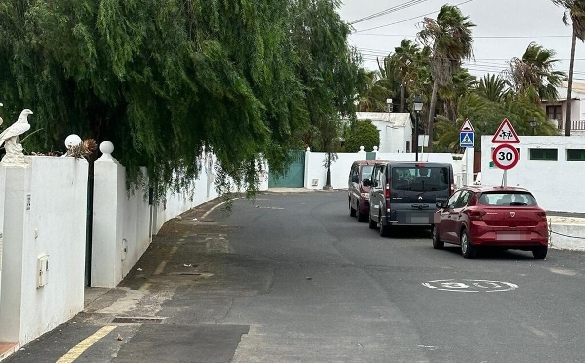 El árbol por podar del que se quejan los vecinos en Tiagua