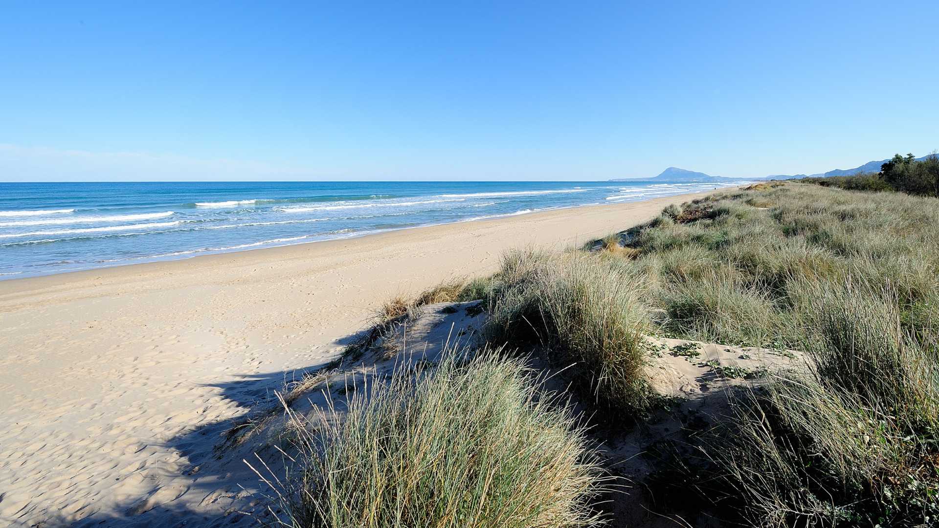 Playa en la localidad valenciana de Oliva 