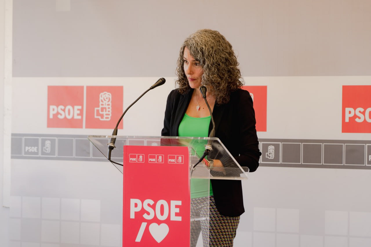 La portavoz del PSOE en el Cabildo, Ariagona González