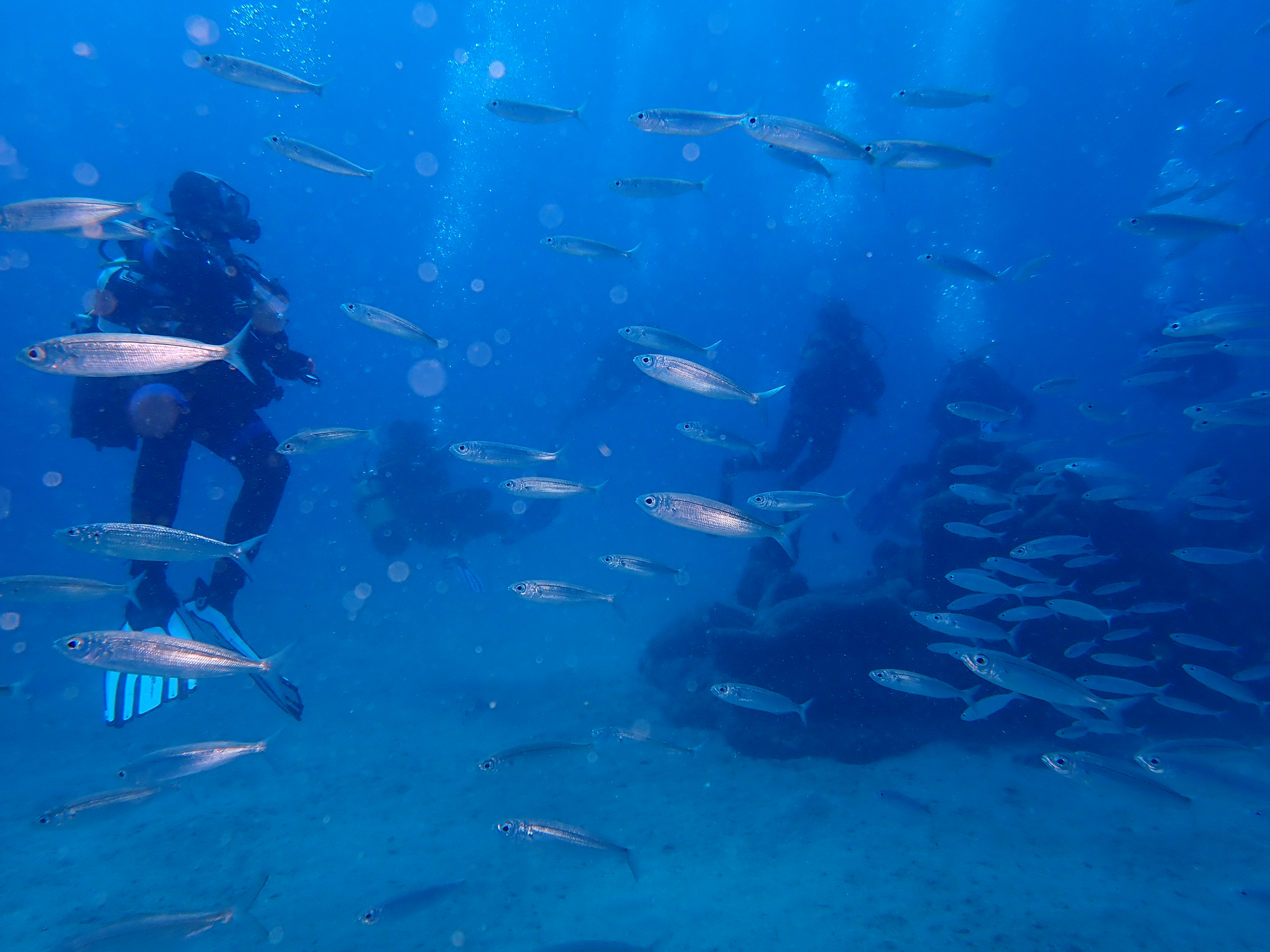 Inmersión de buceo en Yaiza. Foto: Ayuntamiento de Yaiza.