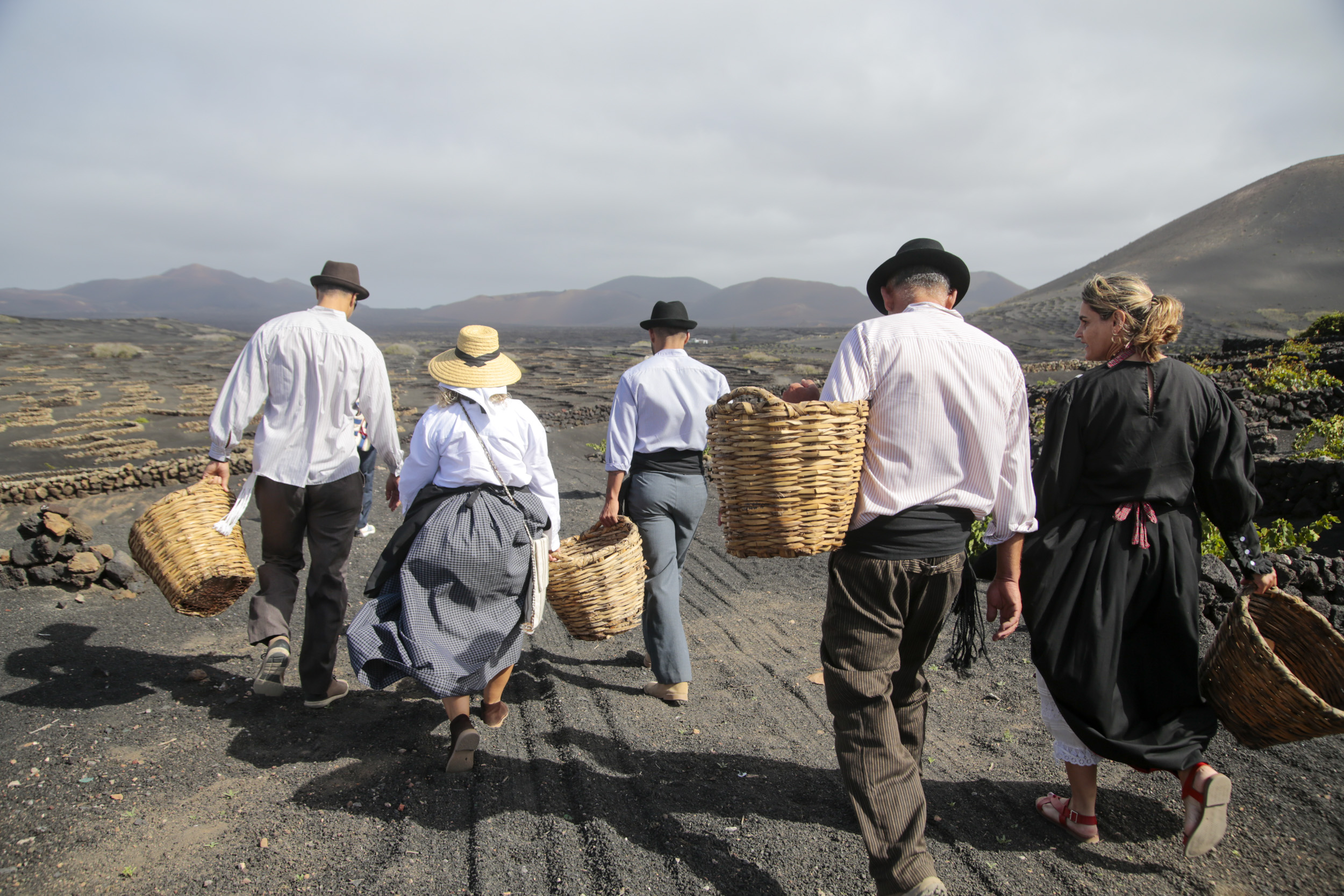  La Geria interpreta su pasado de la vendimia. Foto: Juan Mateos.