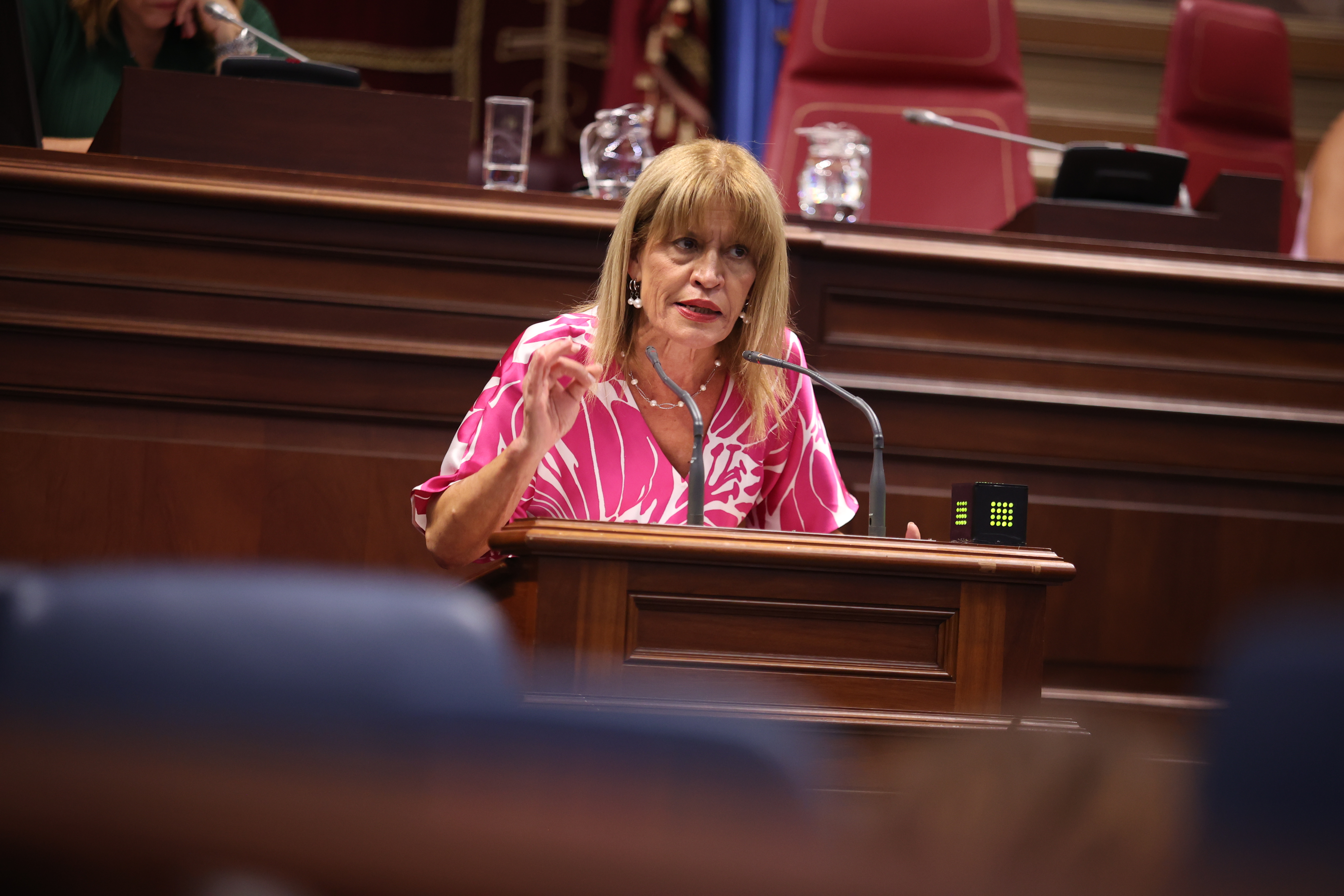 Esther Gonzalez en una intervención parlamentaria