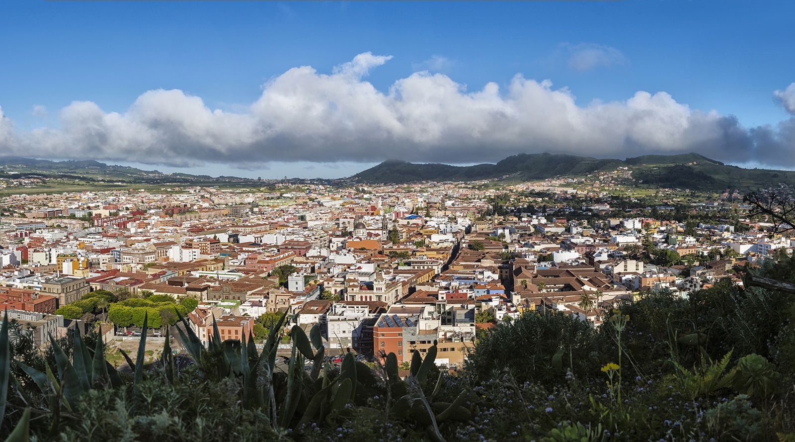 Viviendas en La Laguna